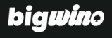 Bigwino logosu