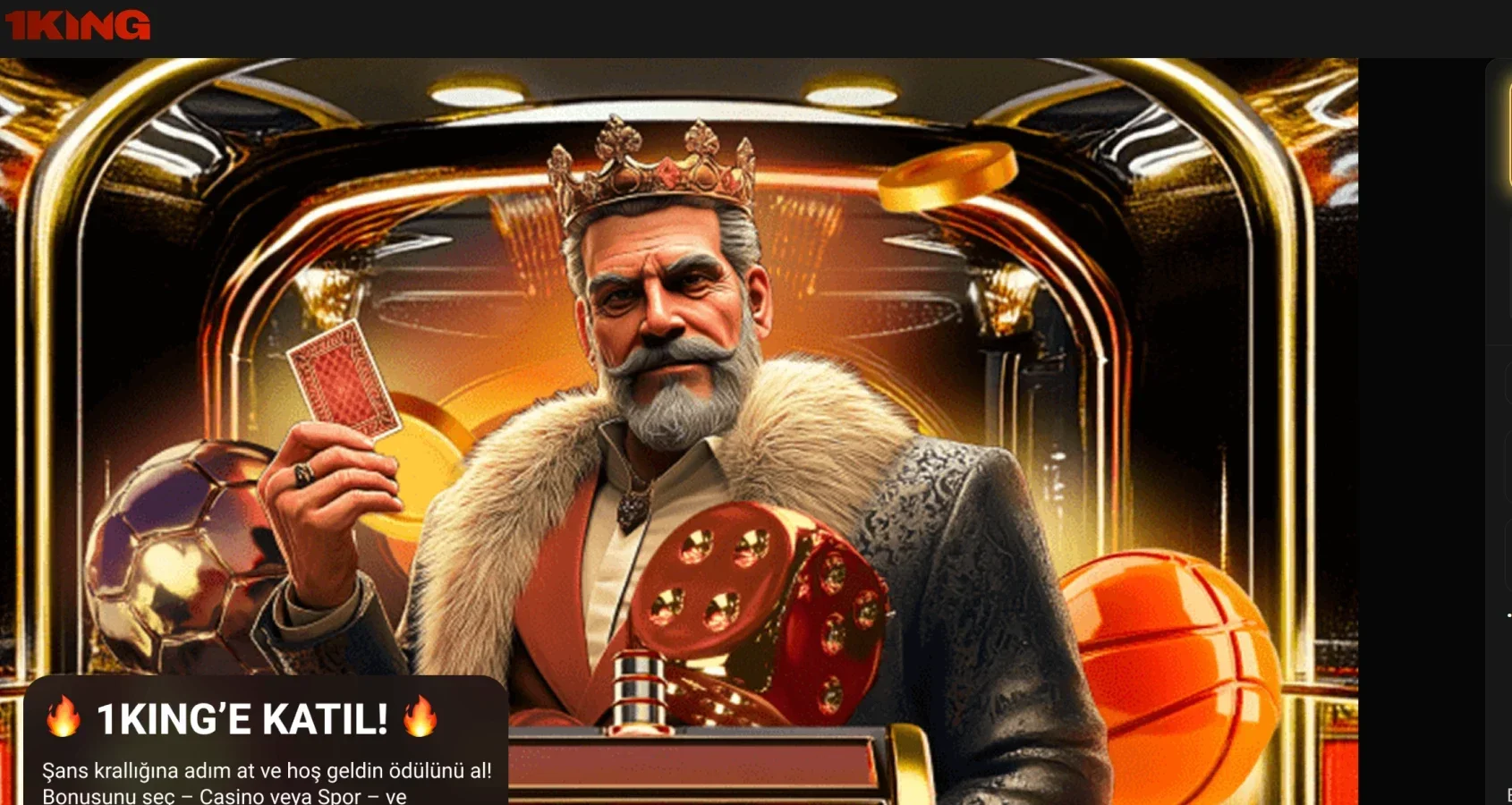 1king arayüz görüntüsü