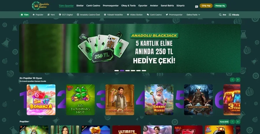 Anadolu Casino arayüz görüntüsü