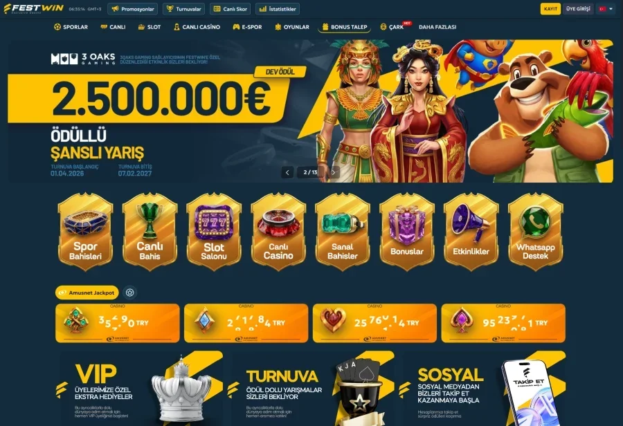 Festwin arayüz görüntüsü