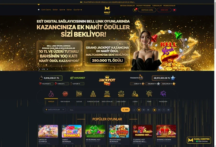MaltCasino arayüz görüntüsü