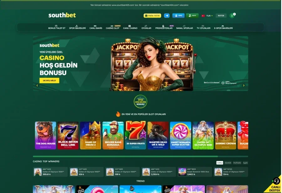 Southbet arayüz görüntüsü