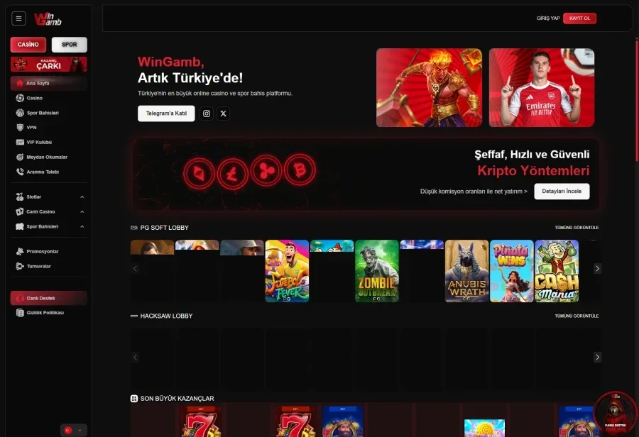 Wingamb arayüz görüntüsü